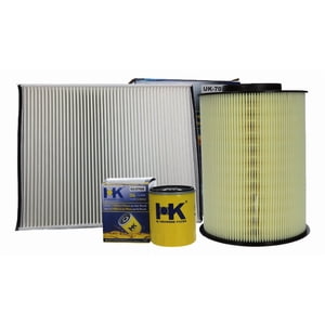 Repuestos Del Sol - Kit Filtro Para Ford Focus 2 0 C20Hdex 2012 2020