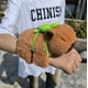 thumbnail image 2 of Peluche Capibara Abraza Muñeca Carpincho Tortuga caqui, 2 of 5