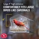 thumbnail image 5 of Comedero para Pájaros de Ventana Exterior Perky-Pet 345 Transparente 0,23 kg, 5 of 9