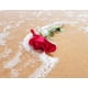 thumbnail image 4 of Vela De Soya Coco Bella Company Ocean Rose 10 oz, 4 of 4