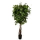 thumbnail image 1 of Planta Decorativa Árbol De Ficus Multi Tronco 180 Cm, 1 of 2