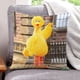 thumbnail image 1 of Big Bird Fundas de almohada de terciopelo con tema, regalos de funda de almohada, decoración para el hogar, cojín de lanzar, regalo de cumpleaños para fans y parejas. 40cm x 40cm., 1 of 6