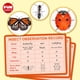 thumbnail image 4 of Kit de captura de insectos FUN KIDZ con lupa y red de 3 a 12 pulgadas, 4 of 9