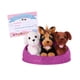 thumbnail image 1 of Adopta 3 perros - Bichon Frise, Yorkshire Terrier & Labrador chocolate, 1 of 3