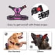 thumbnail image 3 of Arnés para perros PHOEPET, chaleco reflectante con clip frontal y asa M, rosa, 3 of 6