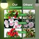 thumbnail image 3 of Briignite Grow Light Bulbs, LED Grow Light Bulb A19, luz de cultivo de espectro completo, 3 of 3