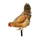 thumbnail image 4 of Estatuilla Acrílica De Decoración De Estacas De Jardín Con Forma De Gallina Para Jardín, Porche, Camino, Estilo B, 4 of 5