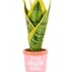 thumbnail image 5 of Adorno navideño Hallmark You Grow Girl Houseplant, 5 of 7