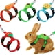 thumbnail image 1 of Juego de arnés y correa XPAPOV Conejito - 4 unidades, chaleco adorable, 1 of 7