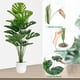 thumbnail image 5 of Plantas artificiales Monstera Deliciosa SAJANDAS con macetas (juego de 2), 5 of 7