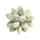 thumbnail image 1 of Throw Pillow Cojines Decorativos Para Dormir Cojines Divertidos Lovely Universal Para Sofá Verde, 1 of 5