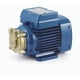 thumbnail image 1 of Bomba Periferica PVm55 0,25 Hp 220V Pedrollo, 1 of 2