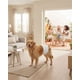 thumbnail image 3 of Pañales Desechables Perro Macho PETSHOW Talla XL x 12 Unidades, 3 of 6