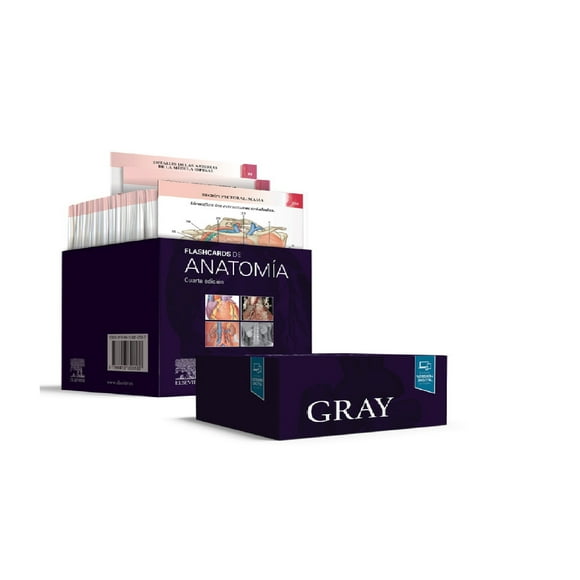 Gray Flashcards De Anatomia