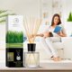 thumbnail image 4 of Difusor de fragancia para habitación AROMATIKA Lemongrass 200 ml con barras, 4 of 9