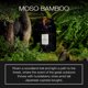thumbnail image 2 of Cera de coco Candle Voluspa Moso Bamboo, 532 ml, 100 h, quemada, EE. UU., 2 of 6