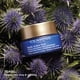 thumbnail image 3 of Crema de noche Clarins Multi-Active Antiedad 50 ml, 3 of 5