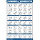 thumbnail image 1 of Ejercicio con mancuernas Poster Palace Learning, 18 x 24 cm, 1 of 5