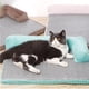 thumbnail image 1 of Cama Para Mascota Perros Gatos Tipo Sofá Terapéutico CALIPSO, 1 of 3