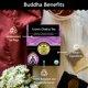 thumbnail image 5 of Tea Buddha Teas Crown Chakra, hierbas orgánicas, 18 bolsas, 5 of 5