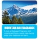 thumbnail image 2 of Fragancia Odor Control Fogger Big D 344 Mountain Air, 150 ml, 2 of 3