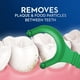 thumbnail image 2 of Floss Picks Oral-B Pro-Health + Scope Outlast Mint 75 unidades x 4, 2 of 3