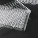 thumbnail image 3 of Placa de cultivo Scienfocus Lab de 96 pozos con tapa (10 unidades), 3 of 7