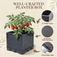 thumbnail image 4 of Growia Pack de 2 cajas para cultivar tomates con enrejado de 142 cm, 4 of 8