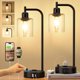 thumbnail image 1 of Industrial Bedside Lamps Set of 2, Fully Dimmable Desk Lamps, 1 of 3