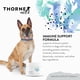 thumbnail image 2 of Suplemento Thornevet Fórmula De Apoyo Inmunológico Para Perros Y Gatos, 2 of 7