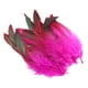 thumbnail image 4 of 50 Plumas Para Manualidades, Decoración Para Bodas, Joyería, Color Rojo Rosa, 4 of 5