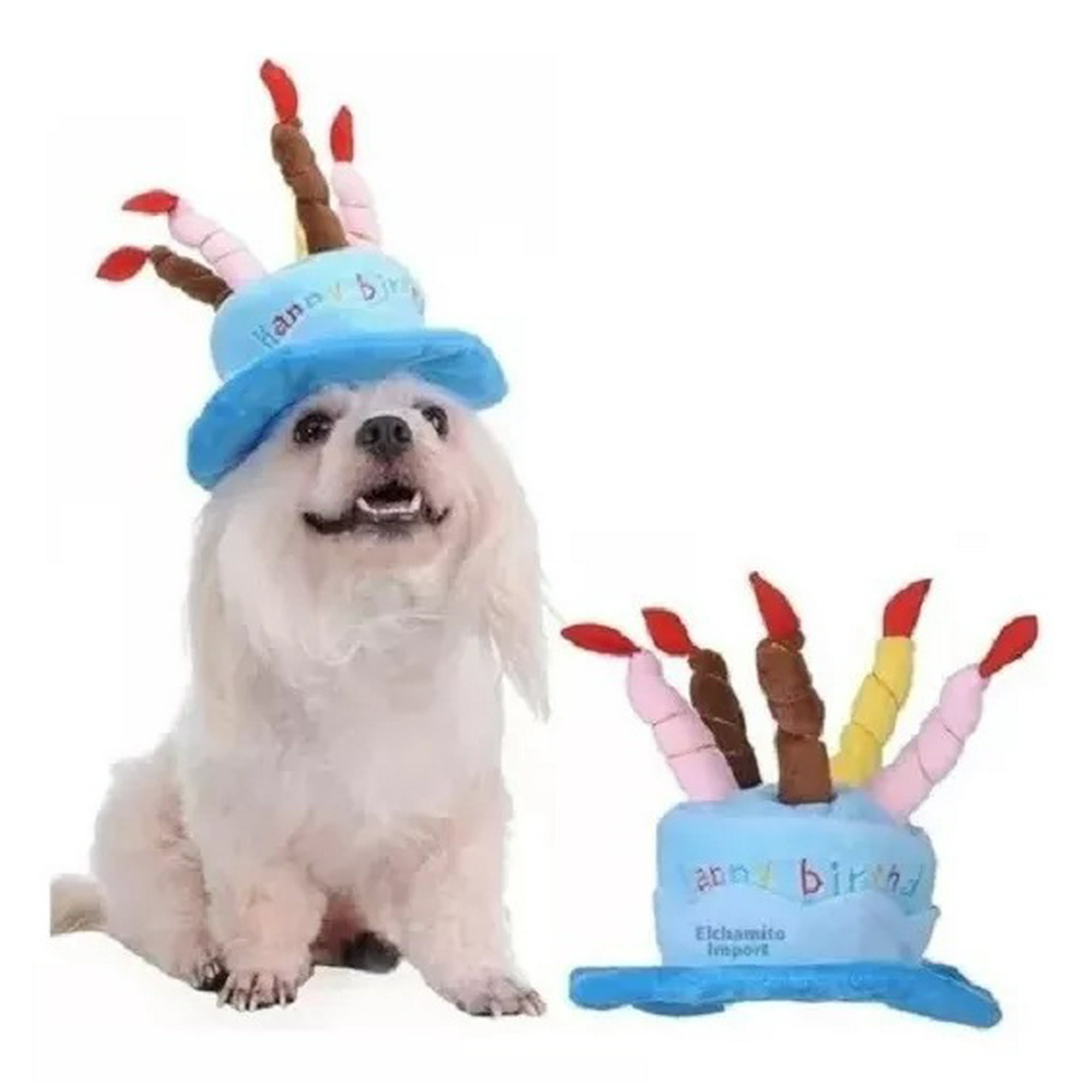 Defensor - Gorro De Cumpleaños Para Gatos, Perros, Mascotas, Color Celeste