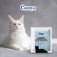 thumbnail image 2 of Arena para gatos COCOYO Crystal, gel de sílice, 7,8 kg, paquete económico, paquete x4, 2 of 6