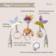 thumbnail image 4 of Asiento De Coche Baby Activity Arch De 0 A 12 Meses, 4 of 7