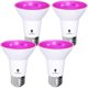 thumbnail image 1 of Bombilla LED Bluex PAR20 rosa de 8 W (equivalente a 65 W), paquete de 4, 1 of 5