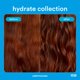 thumbnail image 2 of Oil VERB Hydrate para cabello seco y encrespado, 60 ml, 2 of 3