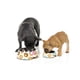 thumbnail image 2 of Comedero Fuzzyard para perro Go Nuts L 810 ml, 2 of 2