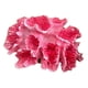 thumbnail image 4 of Fondo De Accesorios De Foto De Coral Artificial Mini Para Accesorios De Oficina De Acuario, 4 of 5
