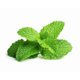 thumbnail image 3 of Hidrosol de Menta Dr Joe Lab 946 ml Spray Facial Tónico, 3 of 8