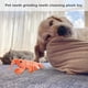 thumbnail image 3 of Floppy Lobster Dog Juguetes, 26cm Electric Plush Floppy Lobster Dog Chew Juguete, USB Charging Mascota Interactivo Juguetes, Gato Chewing Stuffed Juguete fo Dogs Gatos (Oange), 3 of 7
