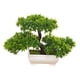 thumbnail image 2 of Árbol de bonsái artificial, plantas de imitación, jardín Zen, decoración del hogar, simulación de mesa, pequeñas plantas falsas, árbol de pino en mace, 2 of 5