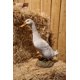 thumbnail image 1 of Statue Hi-Line Gift 87697-A de pato blanco para hogar y jardín, 1 of 1