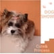 thumbnail image 5 of Lazos para el pelo de perro, accesorios, pasadores para cachorros, pinzas para el pelo de perros pequeños, con cristales y diamantes de imitación, paquete de 5, 5 of 6