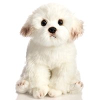 Peluche Hollyhome Bichon Frise, Cachorro De Peluche, 33 Cm, Para Niños