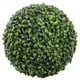 thumbnail image 2 of Bola de Pasto Boj Premium de 25 cm, 2 of 2