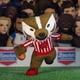 thumbnail image 5 of Figura de peluche Bleacher Creatures Wisconsin Badgers Bucky 10, 5 of 5
