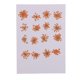 thumbnail image 1 of 16 Piezas De Flores Prensadas Secas DIY En Relieve Material De La Caja Del Teléfono Del Marco De La Foto, 1 of 5