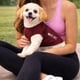 thumbnail image 5 of Playera sin mangas para perro Pet Life Active Aero-Pawlse jaspeada, 5 of 8
