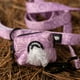 thumbnail image 5 of Portabolsas Sanitarias Petlounge (perro/gato) - Crazy Malva, 5 of 6