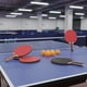 thumbnail image 5 of Set 4 Paletas Ping Pong + 30 Pelotas + Malla, 5 of 7